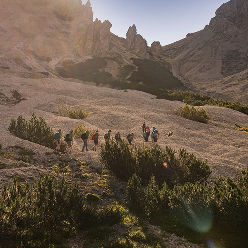 Gruppe von Wanderern im Gebirge