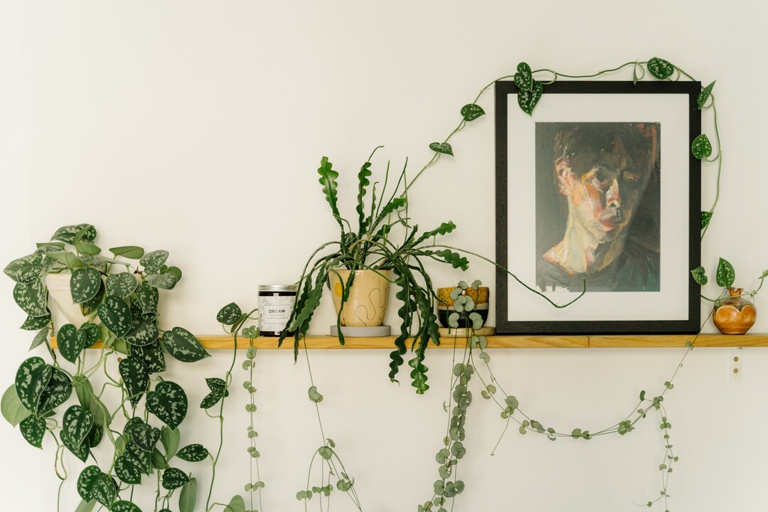 11 Top-Plantfluencer in Deutschland  und weltweit | richtiggut.de