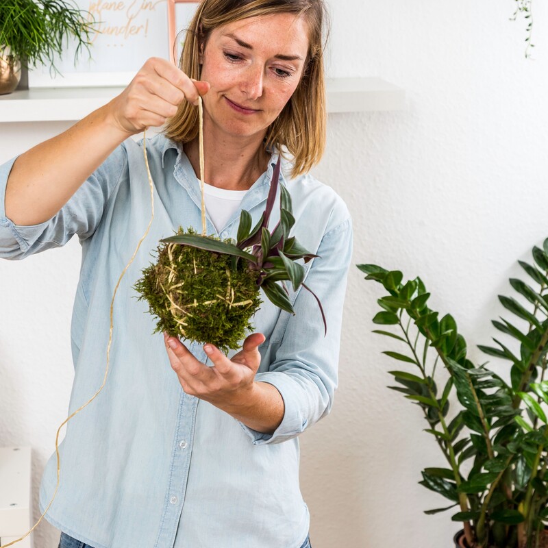 Kokedama Schritt 4 - Schnur an Moosball anbringen