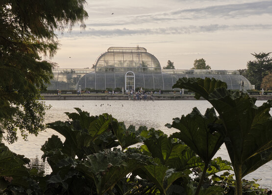 Großes Gewächshaus in Kew Gardens von außen