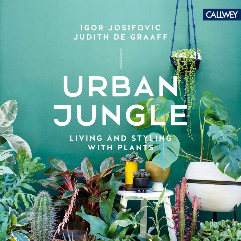 Buchcover "Urban Jungle"